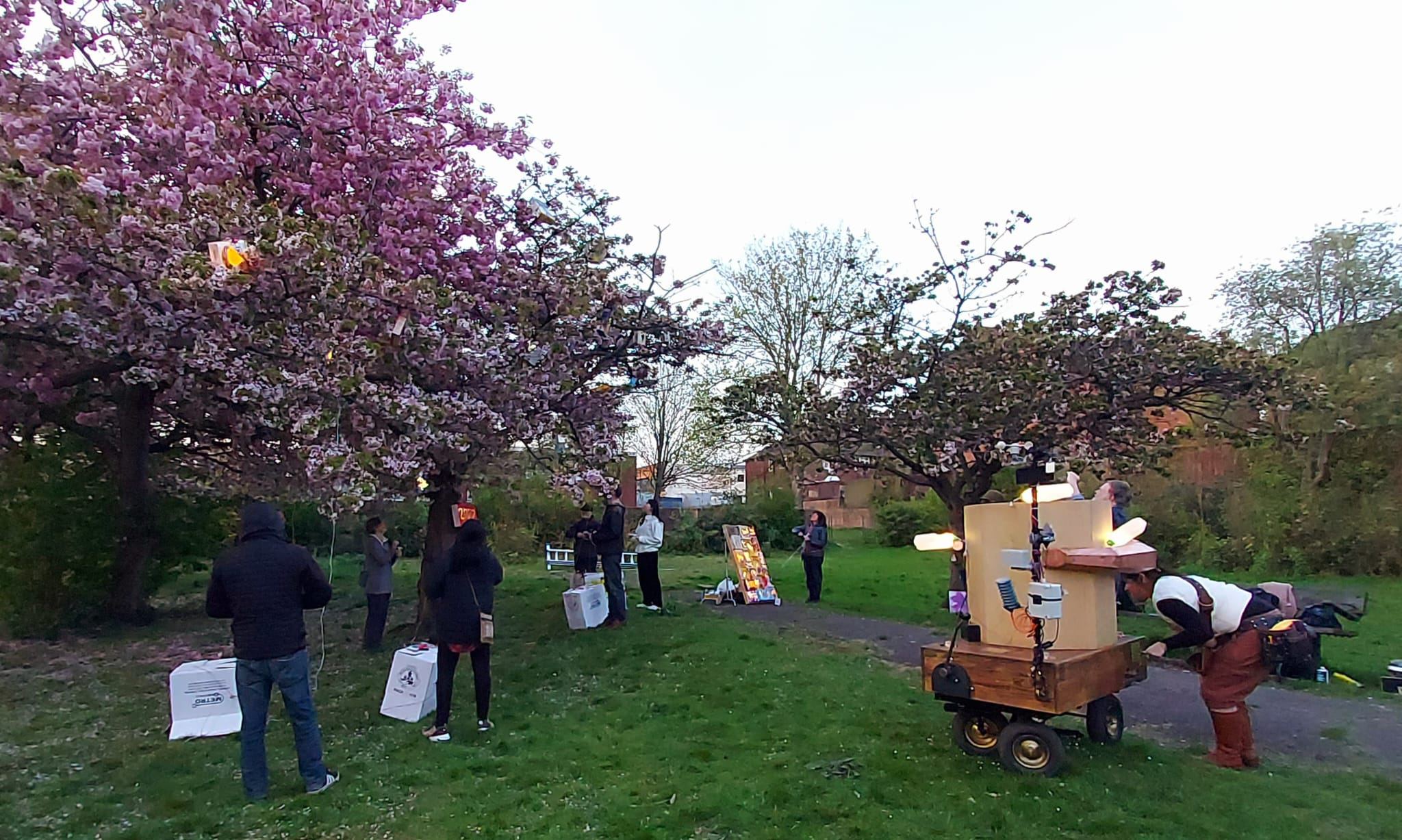 Pink blossom trees in Christ Church Gardens with light boxes in the trees, Future Machine in front with artist companion next to it and people with hand generators lighting up the trees