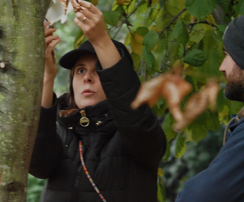 A woman attaching paper to a tree